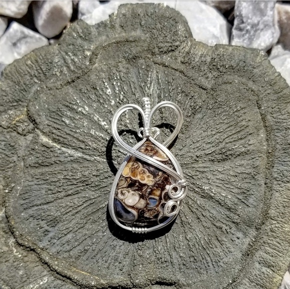 Jewelry - Turritella Agate Silver Wire Wrapped Pendant 🐢